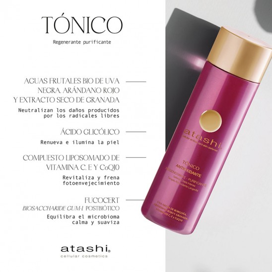 Principales beneficios de los ingredientes del tónico regenerante antioxidante de atashi
