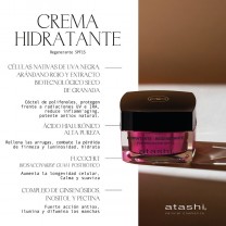 Principales beneficios de los ingredientes de la crema hidratante regenerante con spf 15 de atashi
