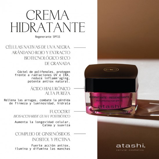 Ingredientes crema Hidratante Antioxidante