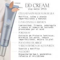 Principios activos de la dd cream stay matte y tonos