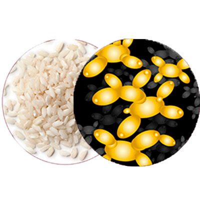 Polvo fino de arroz y Biosaccharide gum-1
