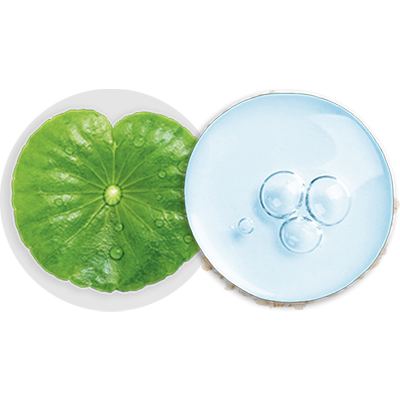 Centella Asiatica y Niacinamida