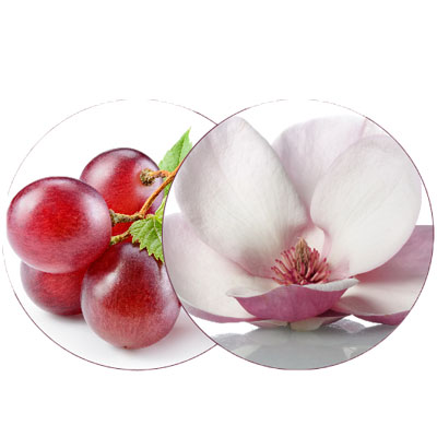 Extracto activo de Magnolia, semillas de uva y scutellaria alpina.