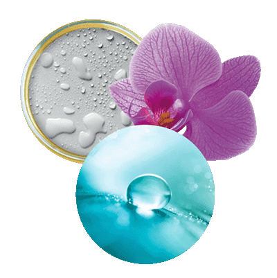 Novoretin, Orquídea Asiática y Blue Oléactif