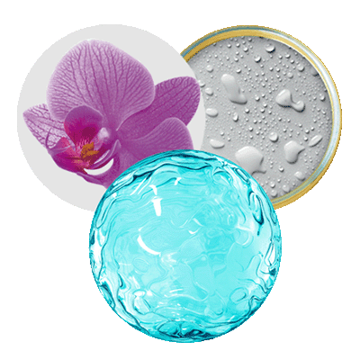 Orquídea Asiática, IceAwake y Novoretin
