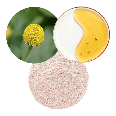 Micropigmentos iluminadores, Spilanthol 50 y retinol