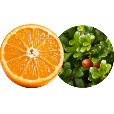 Vitamina-C-y-liposomas-Nanowhite