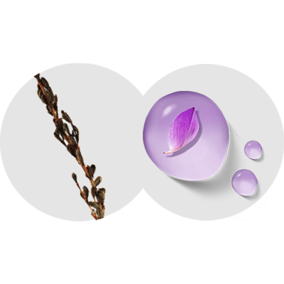 Icono Bakuchiol y Essence Myrothamnus