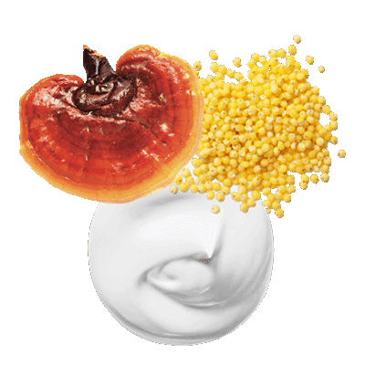 Icono Hongo ganoderma lucidum, biofermentos como el mijo dorado orgánico fermentado y postbióticos como fucocert y ecoskin