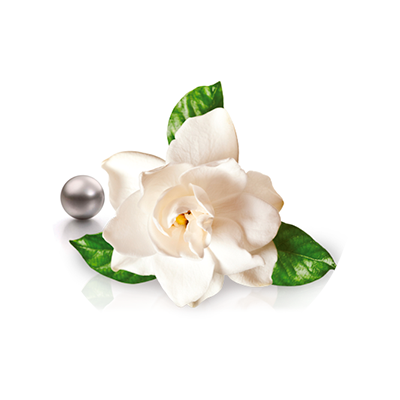 Icono Gardenia jasminoides y perla negra