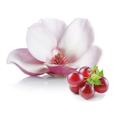 extracto activo de magnolia y semillas de uva y el mg-b glucano biotecnológico