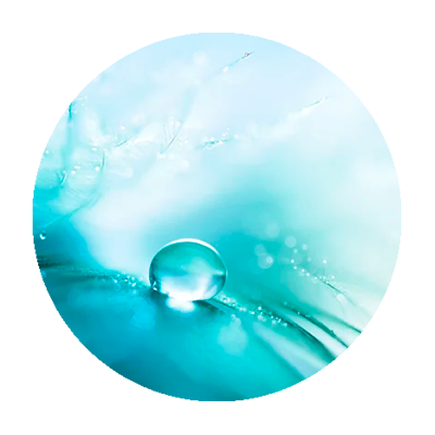Icono blue oléoactif y melatonina