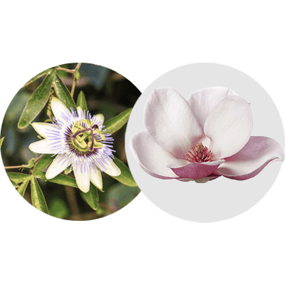 Péptidos HALOXYL y extracto de magnolia